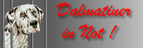 banner dalmatiner in not